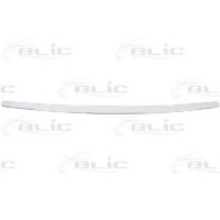 Ґрати вентилятора, буфер BLIC 6502-07-7520999P