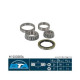 Комплект підшипника маточини колеса BTA H1G037BTA