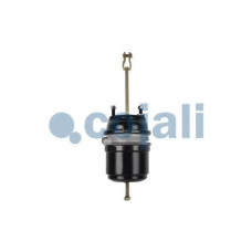 Клапан багатоциклового захисту COJALI 2322502