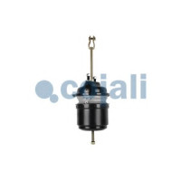 Клапан багатоциклового захисту COJALI 2322503