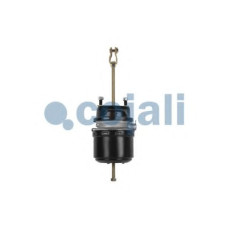 Клапан багатоциклового захисту COJALI 2322607