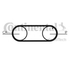 Ремінь ГРМ CONTITECH CT641