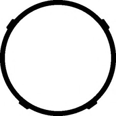 Прокладка, впускний колектор ELRING 359.380