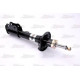 Амортизатор MAGNUM TECHNOLOGY AG3007MT