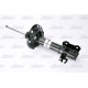 Амортизатор MAGNUM TECHNOLOGY AHG058MT