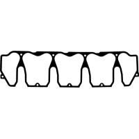 Прокладка, кришка головки циліндра REINZ 71-36002-00