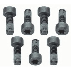 Комплект болтів, маховик SACHS 1874 000 040