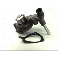 Водяний насос THERMOTEC D1G042TT