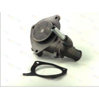 Водяний насос THERMOTEC D1G043TT