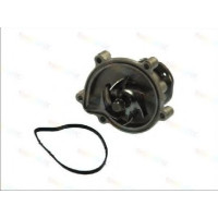 Водяний насос THERMOTEC D1P010TT
