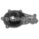 Водяний насос THERMOTEC D1P045TT