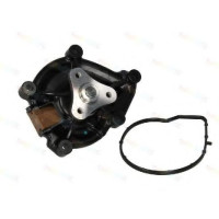 Водяний насос THERMOTEC D1R020TT