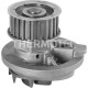 Водяний насос THERMOTEC D1X045TT