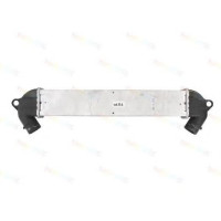 Інтеркулер THERMOTEC DAW006TT