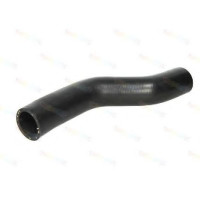 Шланг радіатора THERMOTEC DWM035TT