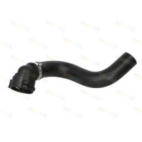 Шланг радіатора THERMOTEC DWP033TT