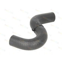 Шланг радіатора THERMOTEC DWX061TT